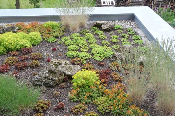 Professionell angelegtes Kies- und Staudenbeet mit Natursteinen im Garten- und Landschaftsbau